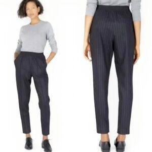Everlane Wool Blend Pull On Pinstripe Tapered Office Career Pants sz 4 navy